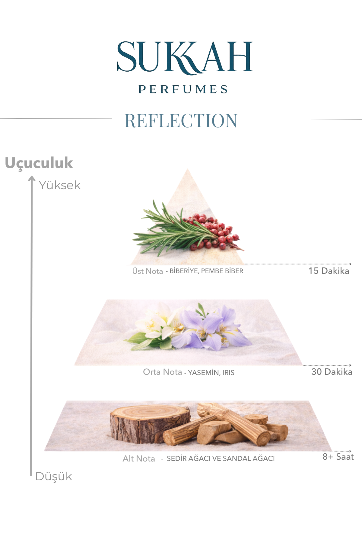 Reflection