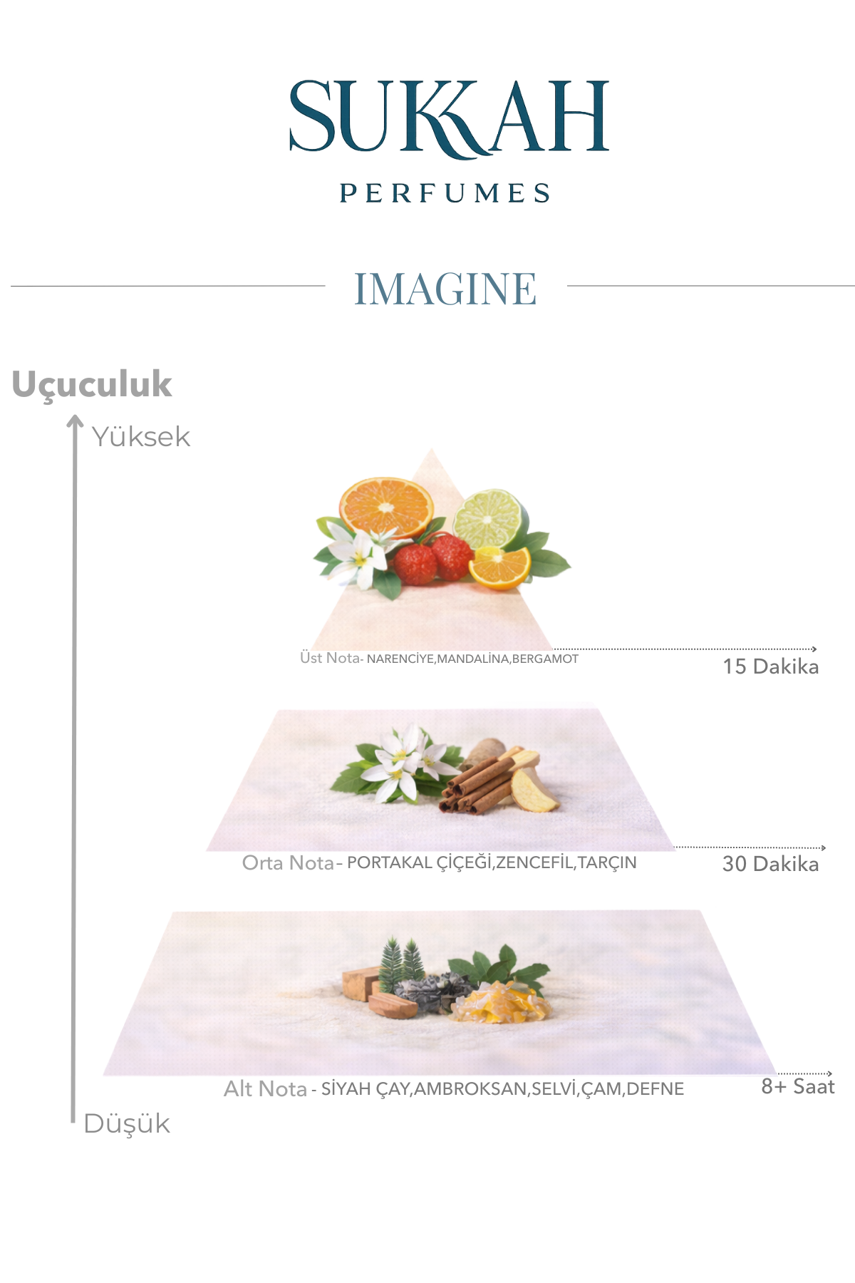 Imagine