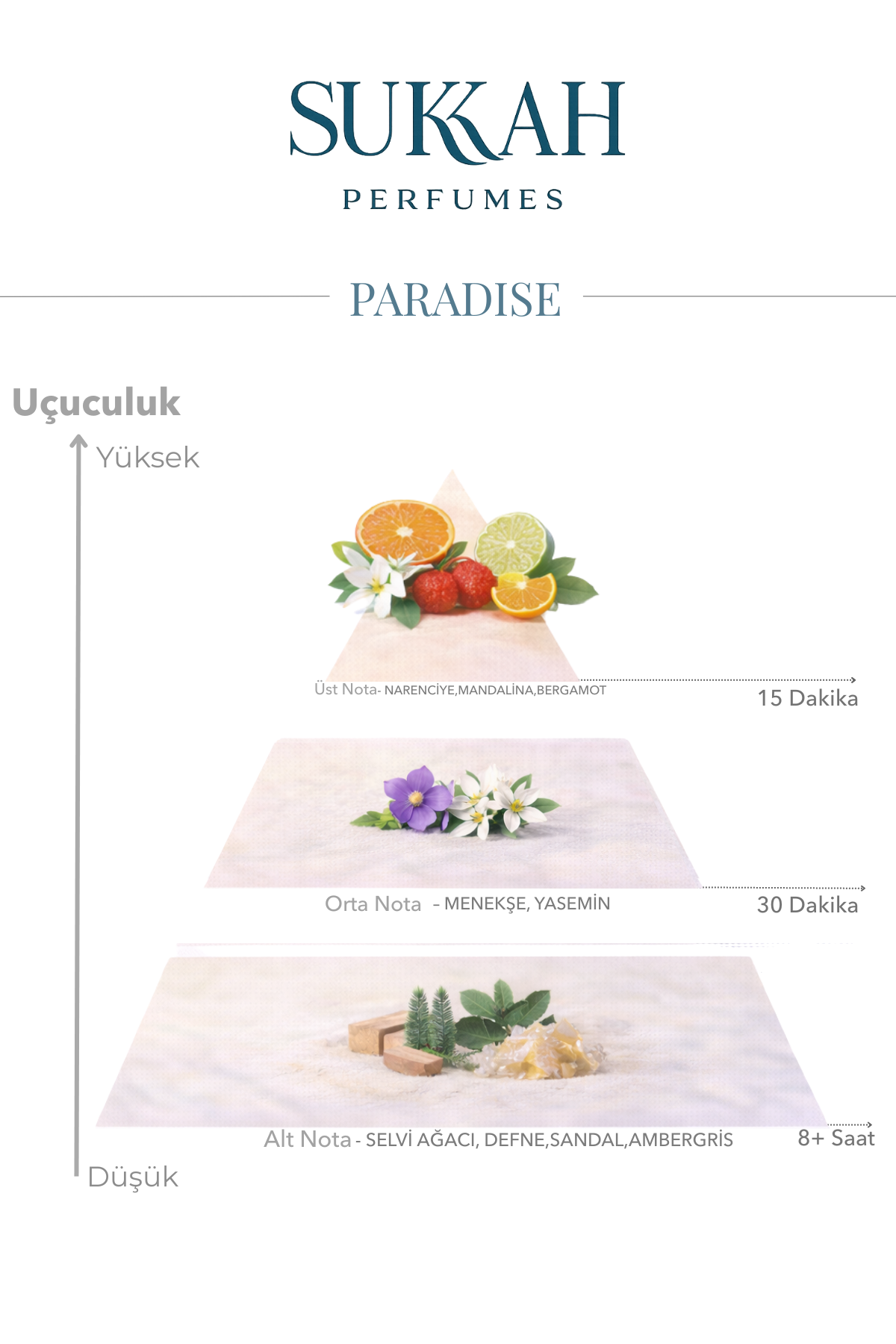 Paradise