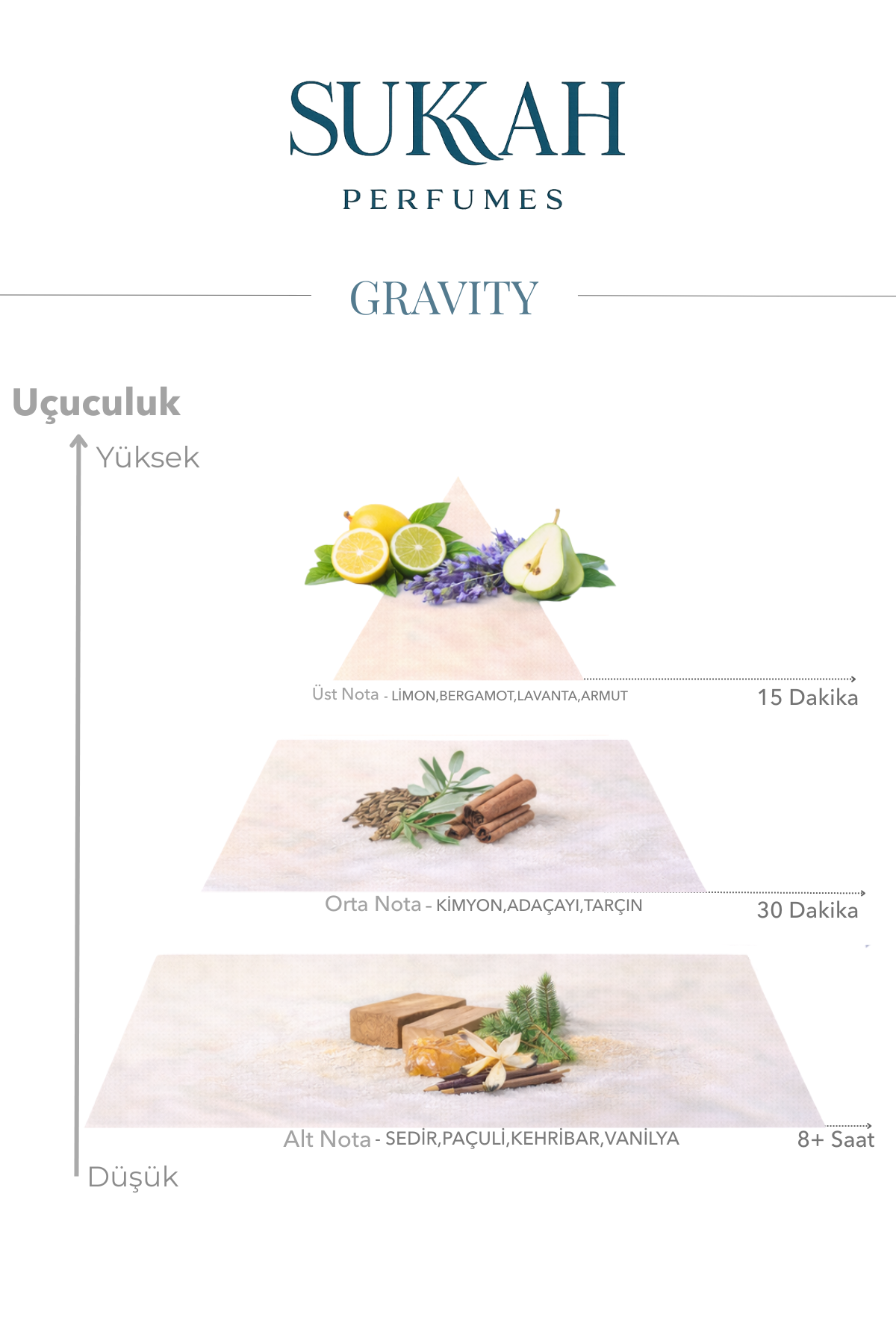 Gravity