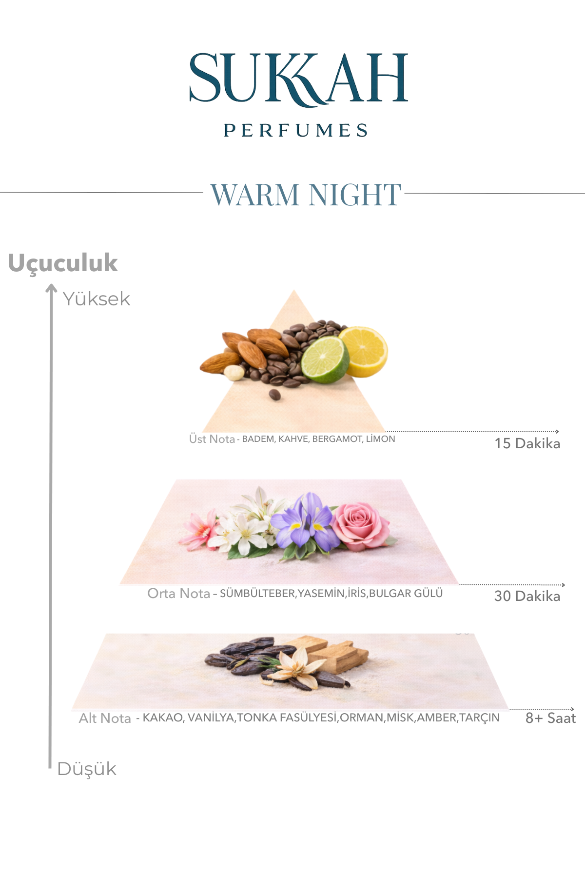 Warm Night