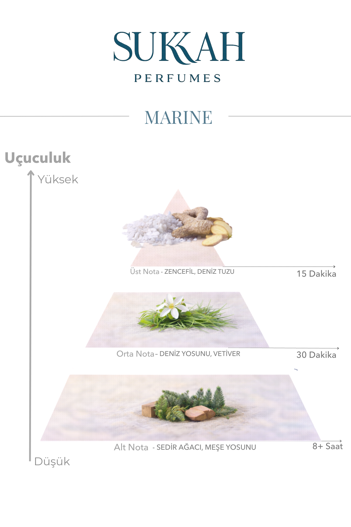Marine
