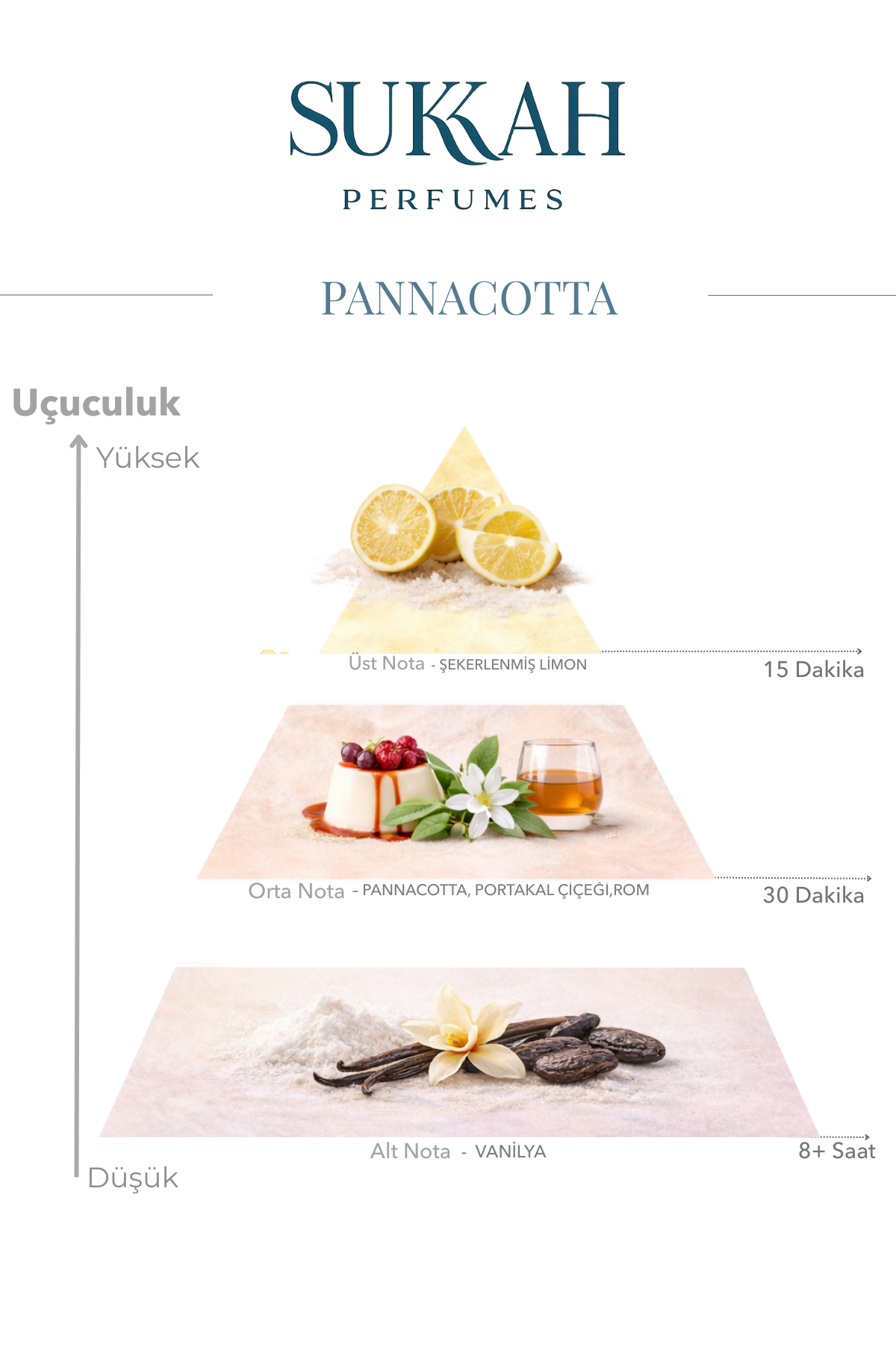 Panacotta