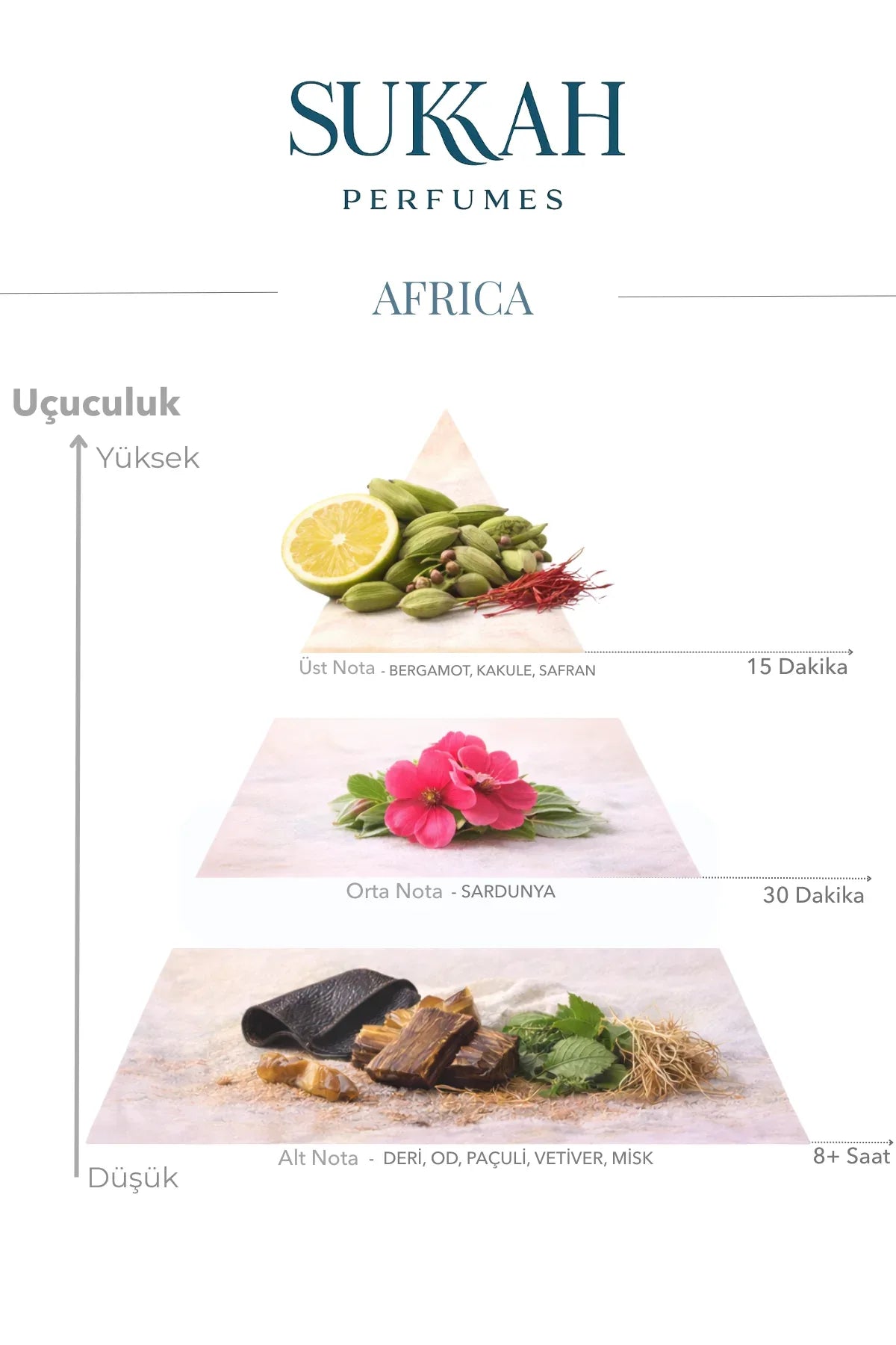 Africa