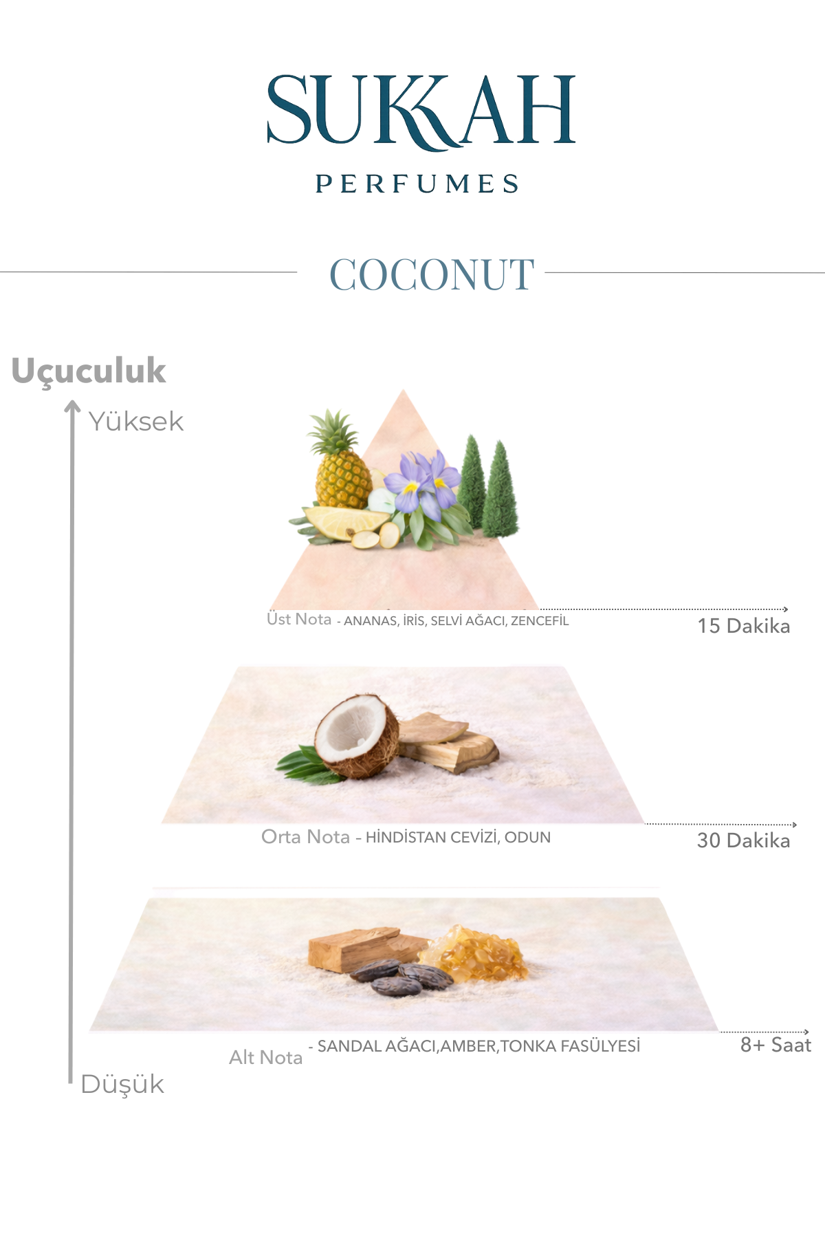 Coconut